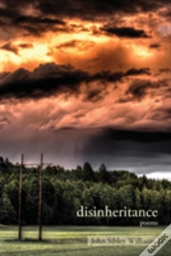 Capa do artigo Disinheritance
