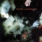 Disintegration - Vinil - Preview