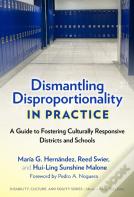 Dismantling Disproportionality In Practice