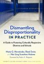 Dismantling Disproportionality In Practice - Preview