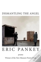 Dismantling The Angel