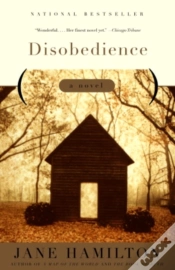 Capa do artigo Disobedience