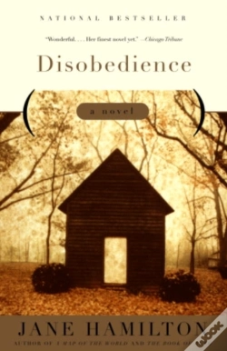 Capa do artigo Disobedience