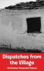 Dispatches From The Village - Preview