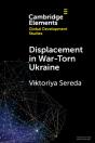 Displacement In War-Torn Ukraine - Preview