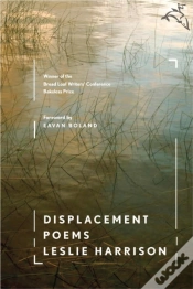 Capa do artigo Displacement