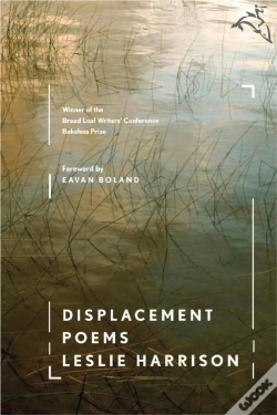 Capa do artigo Displacement