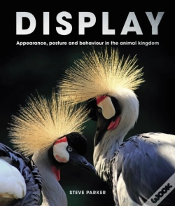 Capa do artigo Display