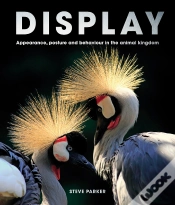 Capa do artigo Display