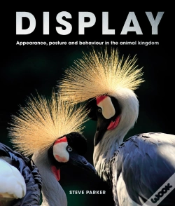 Capa do artigo Display