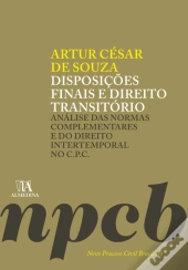 Disposições Finais E Direito Transitório: Análise Das Normas Complementares E Do Direito Intertemporal