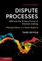 Dispute Processes - Preview