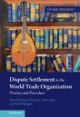 Dispute Settlement In The World Trade Organization - Preview