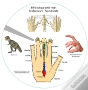 Capa do artigo Disque De Reflexologie