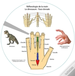 Capa do artigo Disque De Reflexologie