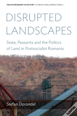 Capa do artigo Disrupted Landscapes