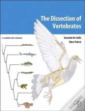 Capa do artigo Dissection Of Vertebrates