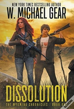Capa do artigo Dissolution