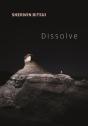 Dissolve - Preview