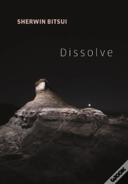 Capa do artigo Dissolve