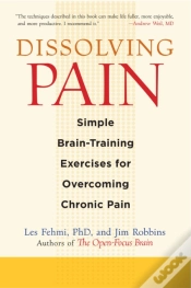 Capa do artigo Dissolving Pain