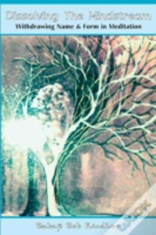 Dissolving The Mindstream