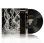 Dissonance Theory - Vinil - Preview