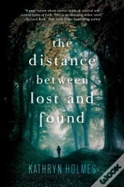 Capa do artigo Distance Between Lost And Found
