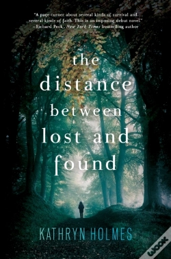 Capa do artigo Distance Between Lost And Found