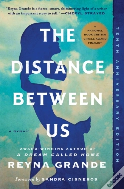 Capa do artigo Distance Between Us