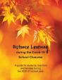 Distance Learning During The Covid-19 School Closures - Preview