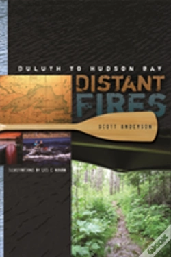 Capa do artigo Distant Fires