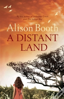 Capa do artigo Distant Land