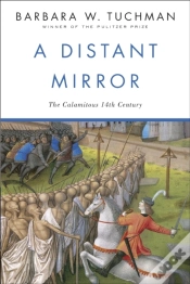 Capa do artigo Distant Mirror