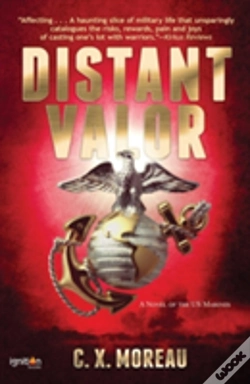 Capa do artigo Distant Valor