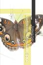 Distinctive Beautiful Spirit - Preview
