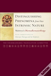 Capa do artigo Distinguishing Phenomena From Their Intrinsic Nature