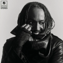 Capa do artigo Distracted - Vinil