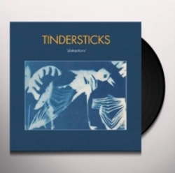 Capa do artigo Distractions - Vinil