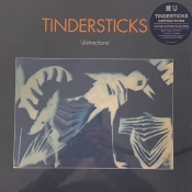Capa do artigo Distractions - Vinil