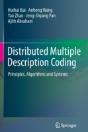 Distributed Multiple Description Coding - Preview