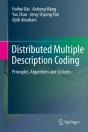 Distributed Multiple Description Coding - Preview
