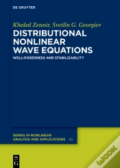 Capa do artigo Distributional Nonlinear Wave Equations