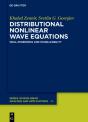 Distributional Nonlinear Wave Equations - Preview