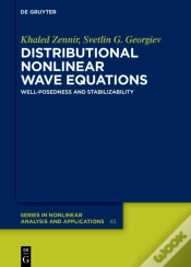 Capa do artigo Distributional Nonlinear Wave Equations