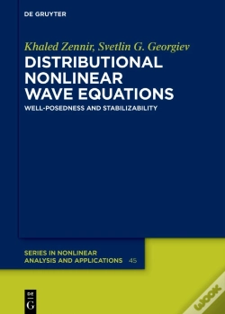 Capa do artigo Distributional Nonlinear Wave Equations