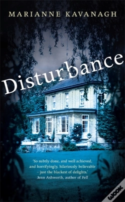 Capa do artigo Disturbance