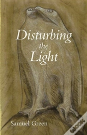 Capa do artigo Disturbing The Light