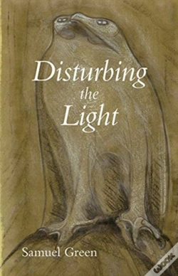 Capa do artigo Disturbing The Light