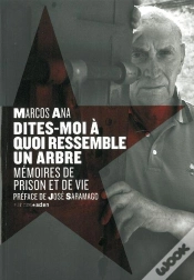 Capa do artigo Dites-Moi A Quoi Ressemble Un Arbre